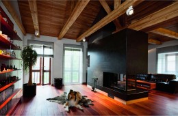 2011-N-K-02-002 Криста Стрелита-Стреле